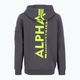 Alpha Industries men's Back Print Zip vintage grey sweatshirt 2