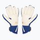 Reusch Arrow Gold X blue goalkeeper's gloves 5270908-4026 2