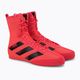 Boxing shoes adidas Box Hog 3 pink FX1991 5