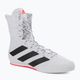 Boxing shoes adidas Box Hog 3 white and black GV9975