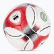 ERIMA Hybrid Training 2.0 red/black football size 5 2