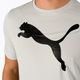 Men's training t-shirt PUMA Active Big Logo Tee grey 586724 09 5
