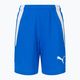 PUMA Teamliga children's football shorts navy blue 704931 02