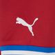 Men's football jersey PUMA Facr Home Jersey Replica red 765865 01 5