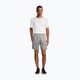 FILA men's shorts Lich Sweat light grey melange 2