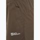 Jack Wolfskin men's Prelight Pro cold coffee trekking trousers 4