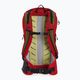 Jack Wolfskin Wolftrail 22 Recco hiking backpack red 2010211_2206_OS 2