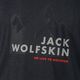 Men's Jack Wolfskin Hiking Graphic grey T-shirt 1808761_6230 6