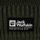 Jack Wolfskin Playn Logo Beanie winter beanie island moss 4