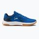 PUMA Varion volleyball shoes blue 106472 06 2