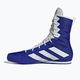 Boxing shoes adidas Box Hog 4 navy blue HP9612 11