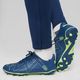 PUMA Future Play FG/AG men's football boots persian blue/pro green 13