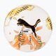 PUMA Orbit 6 FanwearCapsule MS football puma white/rickle orange/puma black size 5 4