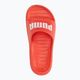 PUMA Divecat v2 Lite active red/puma white slides 5