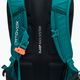 Ski backpack ORTOVOX Free Rider 22 l green 4681000003 5