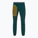 Men's softshell trousers ORTOVOX Berrino green 6037400020
