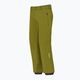 Men's ski trousers Descente Roscoe olive green 3