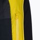 Men's ski jacket Descente Chester marigold yellow 9