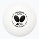 Butterfly table tennis balls 120 pcs white.