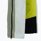 Men's ski trousers Descente Bill grey/green 5