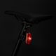 CatEye bike light set Ampp 100 Hl-El041Rc / Viz100 Tl-Ld800B 8900010 6