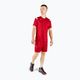 Men's training shirt Mizuno Premium Handball SS red X2FA9A0262 2