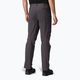 Men's trekking trousers REGATTA Highton seal grey 3