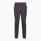 Men's trekking trousers REGATTA Highton seal grey 6