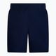 Men's Nike Essential 5" Volley swim shorts navy blue NESSA560-440 2