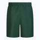 Men's Nike Essential 7" Volley swim shorts green NESSA559 2