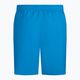 Men's Nike Essential 5" Volley swim shorts blue NESSA560-406 2
