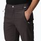 Men's softshell trousers REGATTA Geo Softshell II ash 4