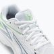 Men's volleyball shoes Mizuno Thunder Blade Z white / g ridge / patina green 9