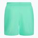 Men's Nike Essential 5" Volley swim shorts green NESSA560-315 2