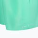 Men's Nike Essential 5" Volley swim shorts green NESSA560-315 3