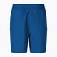 Men's Nike Essential 7" Volley swim shorts navy blue NESSA559-444 2