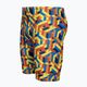 HUUB Men's Swimwear Vivid Jammer colour JAMMERQP 3
