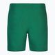 Men's Nike Essential 7" Volley bicoastal swim shorts 2