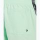 Men's Nike Logo Tape 5" Volley swim shorts vapor green 6