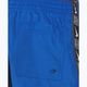 Men's Nike Logo Tape 5" Volley game royal swim shorts 10