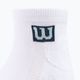 Wilson men's training socks 3PP Premium Low Cut 3 pack white W8F1W-3730 3