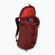 Gregory Arrio 24 l hiking backpack red 136974 4