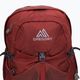 Gregory Citro RC 30 l dark red hiking backpack 141309 3