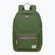 American Tourister Backpack Zip 19.5 l olive green