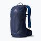 Gregory men's hiking backpack Miko 15 l blue 145274 5