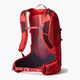 Gregory men's hiking backpack Miko 15 l red 145274 6