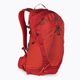 Gregory men's hiking backpack Miko 20 l red 145275 3