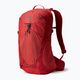 Gregory men's hiking backpack Miko 20 l red 145275 6