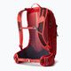 Gregory men's hiking backpack Miko 20 l red 145275 7