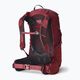 Women's hiking backpack Gregory Jade 28 l ruby red 6